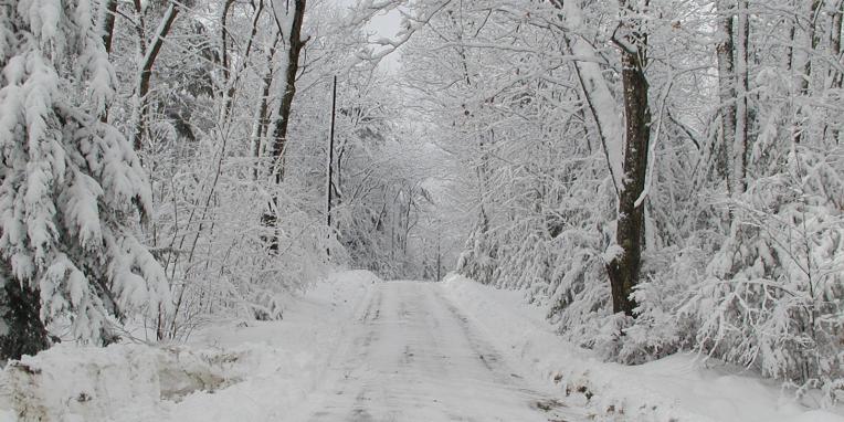 snow covered road with trees on both sides